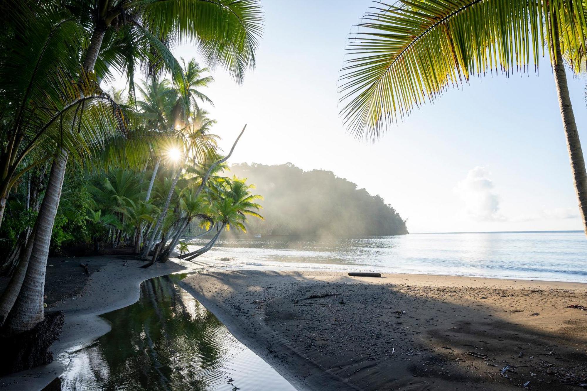 Playa Cativo Lodge Esquinas Kültér fotó